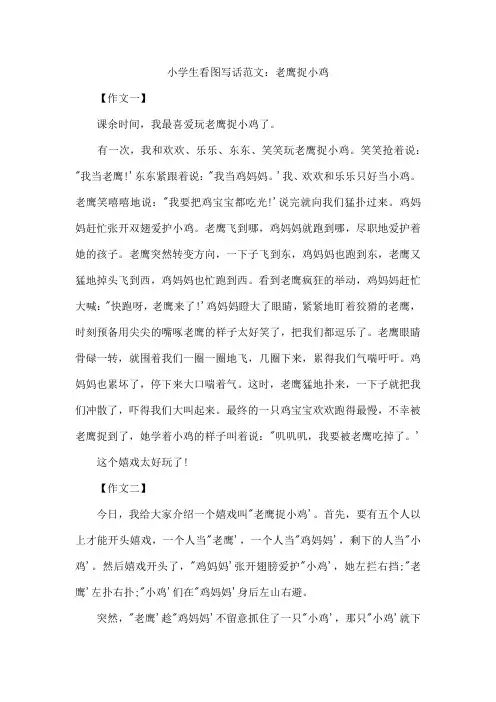 小学生看图写话范文：老鹰捉小鸡