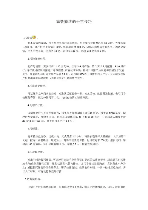 高效养猪的十三技巧