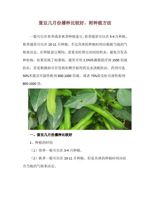 蚕豆几月份播种比较好,附种植方法