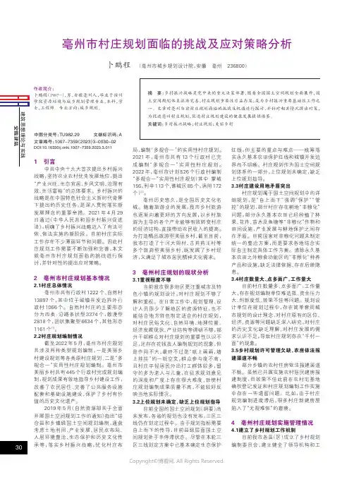 亳州市村庄规划面临的挑战及应对策略分析