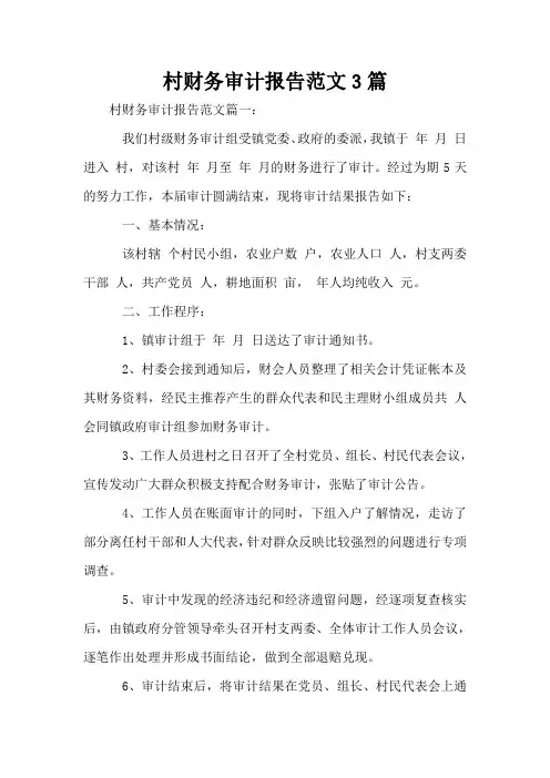 村财务审计报告范文3篇
