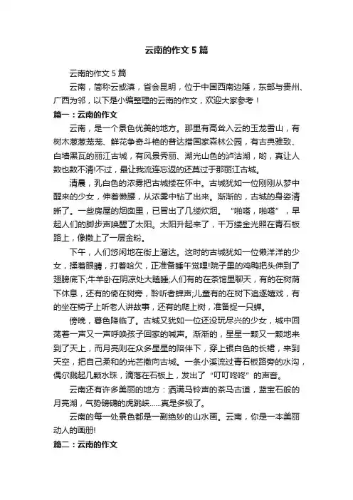 云南的作文5篇