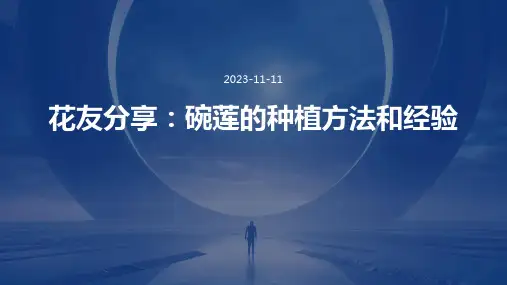 花友分享：碗莲的种植方法和经验