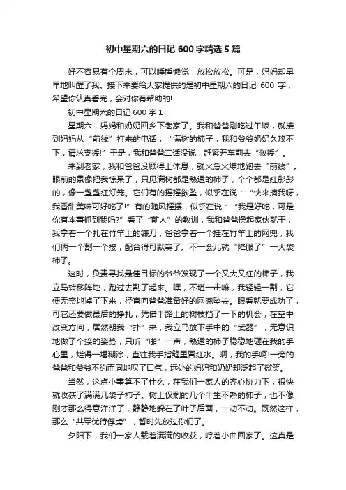 初中星期六的日记600字精选5篇