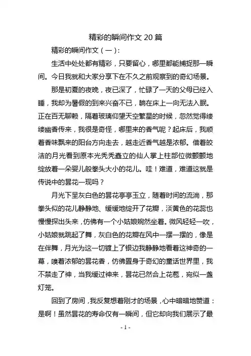 精彩的瞬间作文20篇