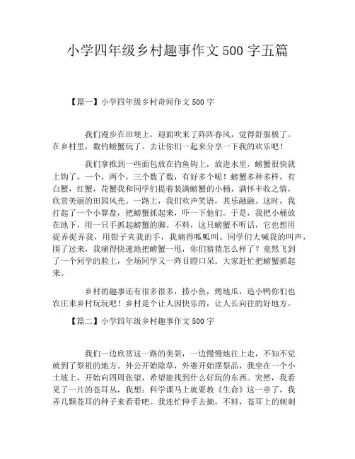 小学四年级乡村趣事作文500字五篇