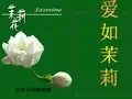 《爱如茉莉》课件