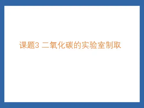 6.3二氧化碳的实验室制取课件---2024-2025学年九年级化学人教版(2024)上册