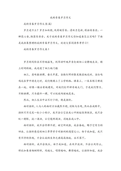 我的青春岁月作文