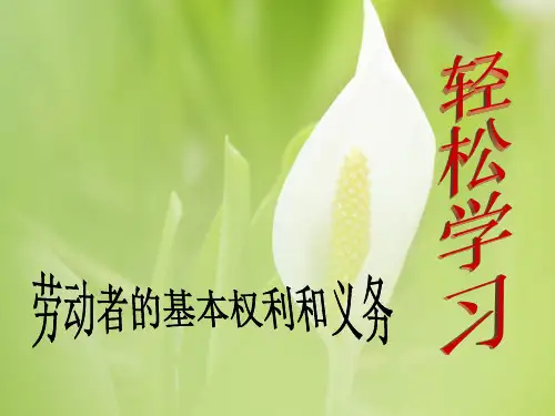 劳动者的基本权利和义务PPT教学课件