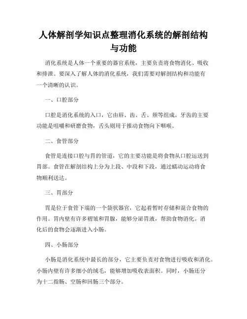 人体解剖学知识点整理消化系统的解剖结构与功能