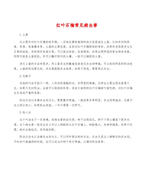 红叶石楠常见病虫害
