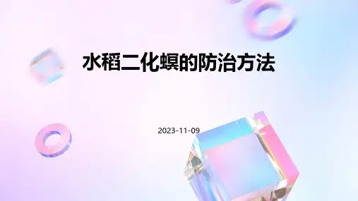 水稻二化螟的防治方法