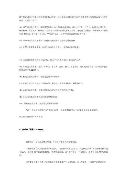 污水处理常见微生物照片说明