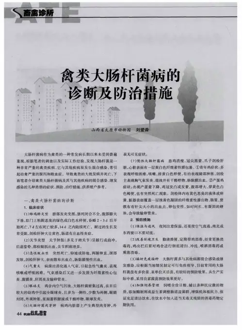 禽类大肠杆菌病的诊断及防治措施