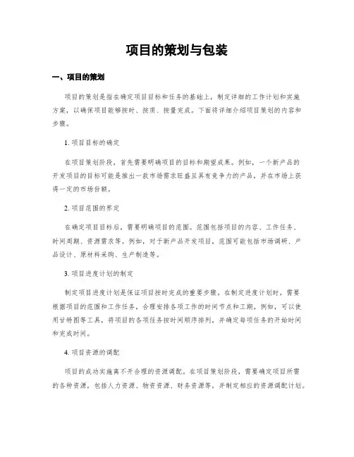项目的策划与包装