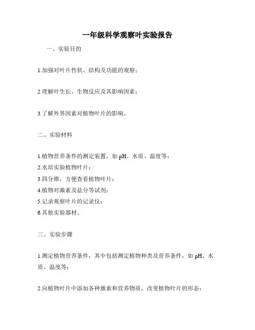 一年级科学观察叶实验报告