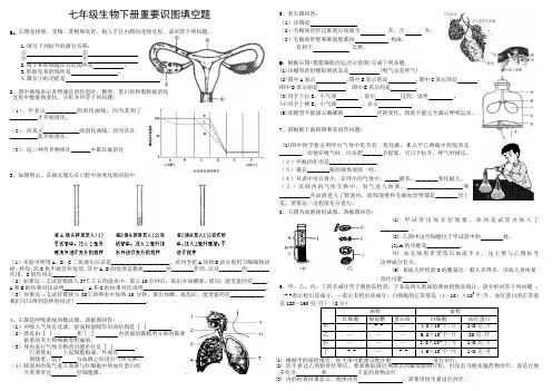 七年级生物重要识图题(人教版)