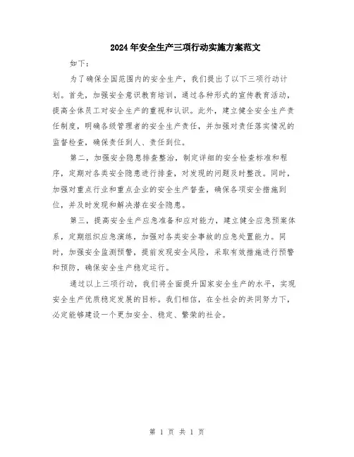 2024年安全生产三项行动实施方案范文