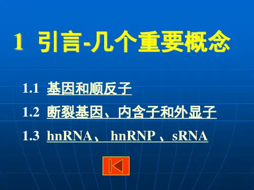 第七章转录产物的加工修饰及转运降解