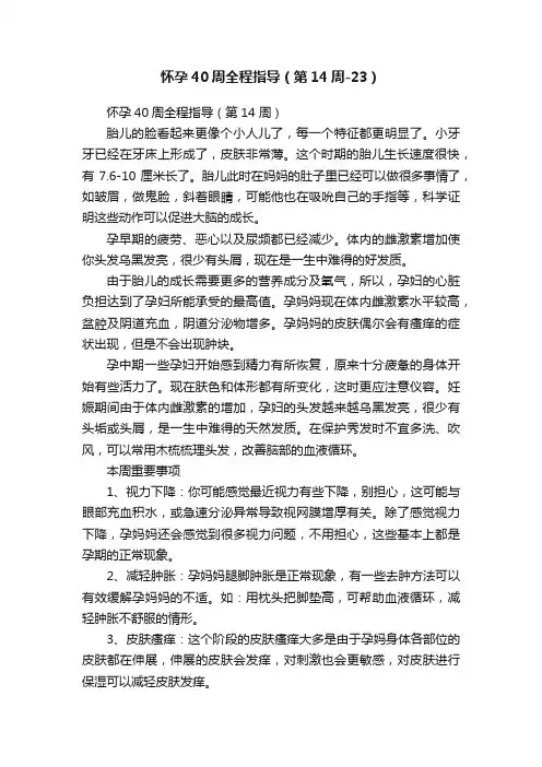 怀孕40周全程指导（第14周-23）