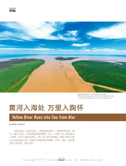 黄河入海处 万里入胸怀