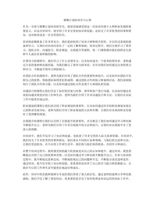雏鹰计划培训学习心得