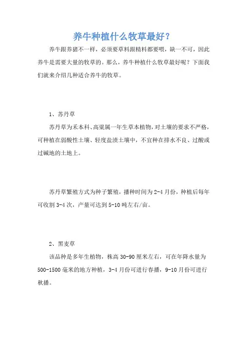 养牛种植什么牧草最好？
