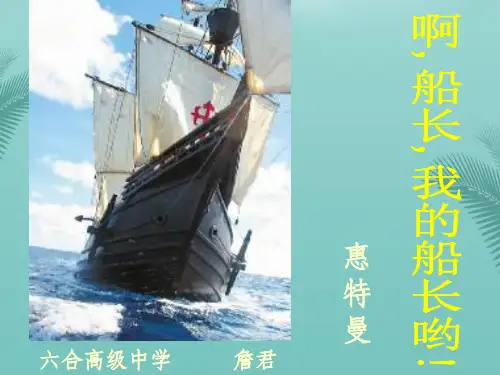 啊船长我的船长哟.优秀精选PPT
