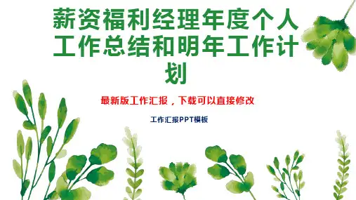 薪资福利经理年度个人工作总结和明年工作计划PPT模板下载