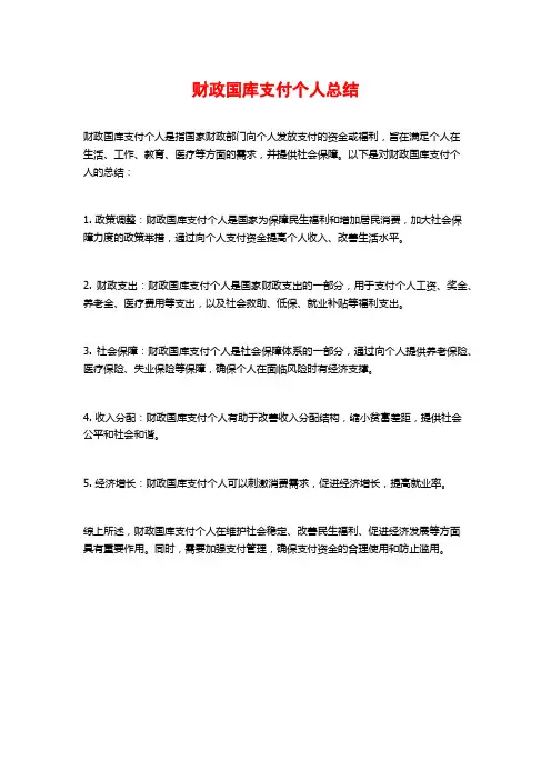 财政国库支付个人总结