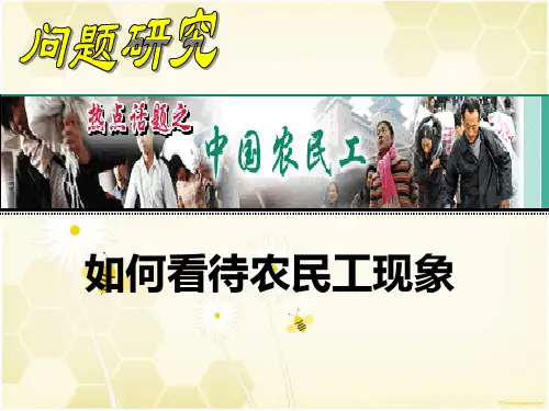 人教版高中地理必修二第一章问题研究《如何看待农民工现象》优质课件(共29张PPT)