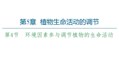 高中生物新人教版选择必修1环境因素参与调节植物的生命活动课件(48张)