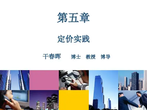 产业经济学第五章