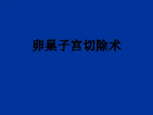 母犬卵巢子宫摘除术 PPT