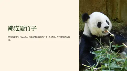 Pandas love bamboo课件(1)