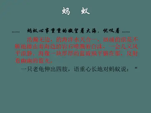 写作训练：环境描写ppt课件