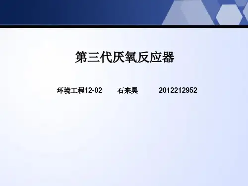第三代厌氧反应器