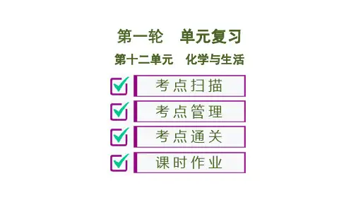 初中化学中考复习 第12单元 化学与生活 55PPT
