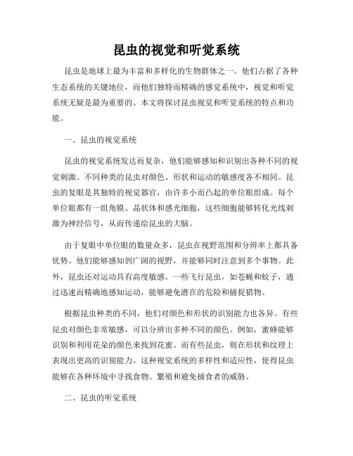 昆虫的视觉和听觉系统
