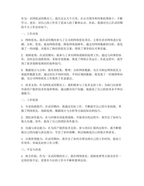 网优试用期个人工作总结