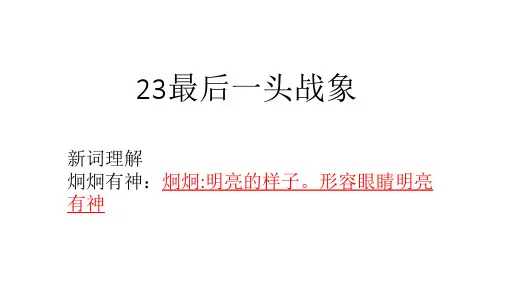 人教版六年级语文上册长江作业本23最后一头战象答案
