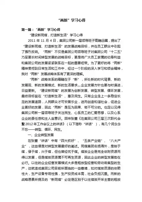 “两新”学习心得