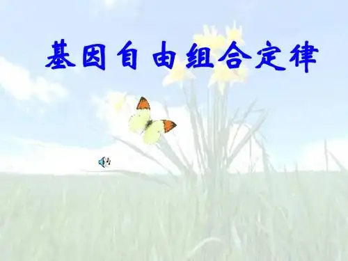 基因自由组合规律
