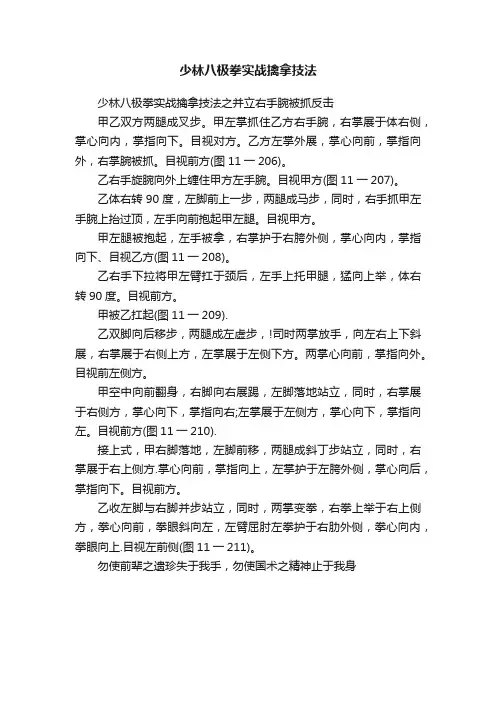 少林八极拳实战擒拿技法