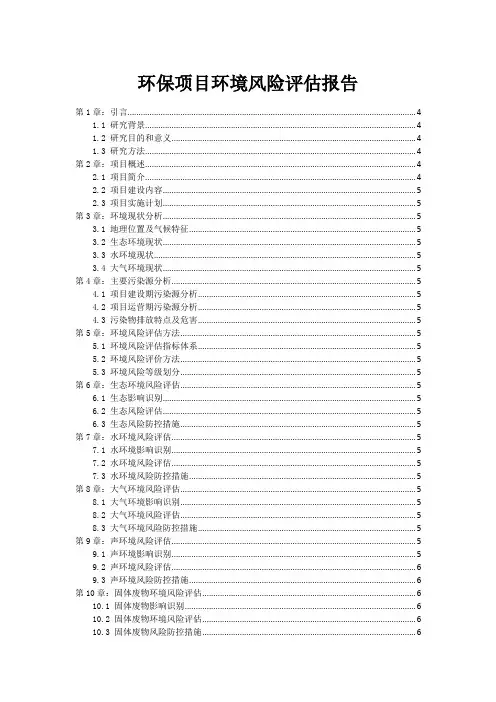 环保项目环境风险评估报告