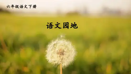 部编版语文六年级下册《语文园地五》课件ppt