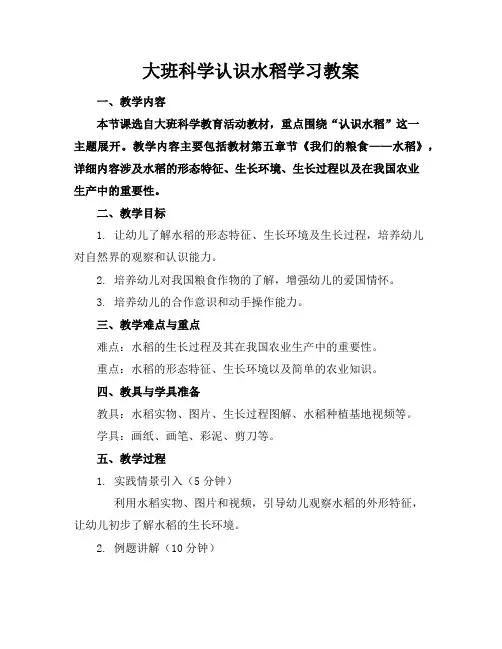 大班科学认识水稻学习教案