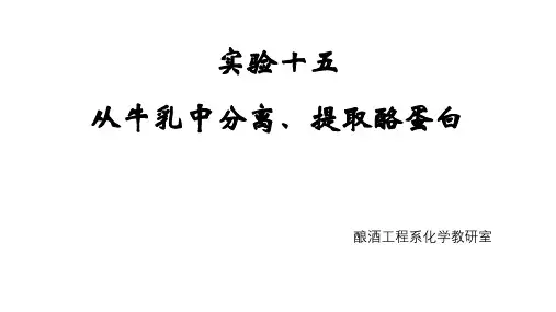 15.实验十五 从牛乳中分离提取酪蛋白