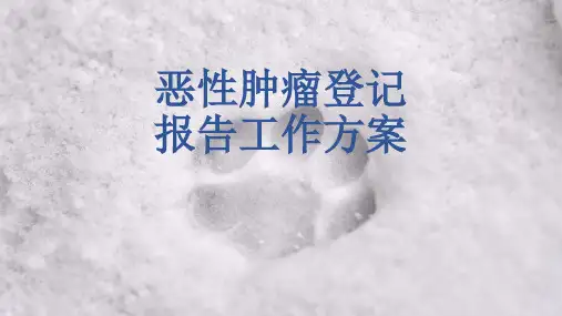 恶性肿瘤登记报告工作方案